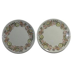 Lot of 2 Bread & Butter Plate Sweet & Tart by TAYLOR, SMITH & T (TS&T) vtg fruit